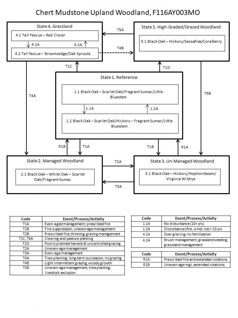 Model diagram