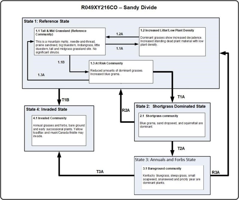 Model diagram