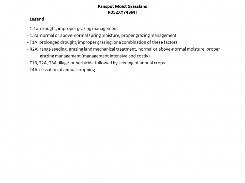 Model diagram