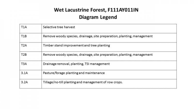 Model diagram