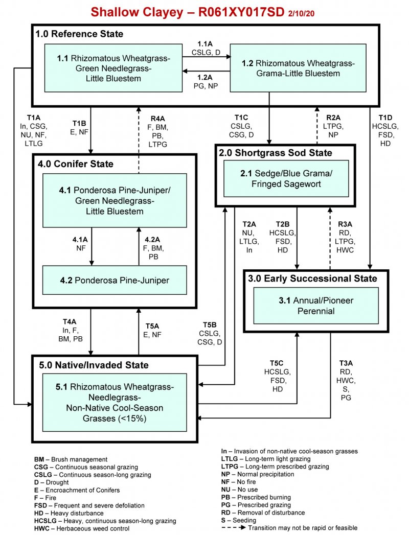 Model diagram