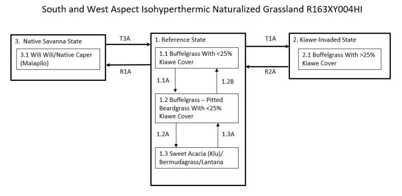 Model diagram