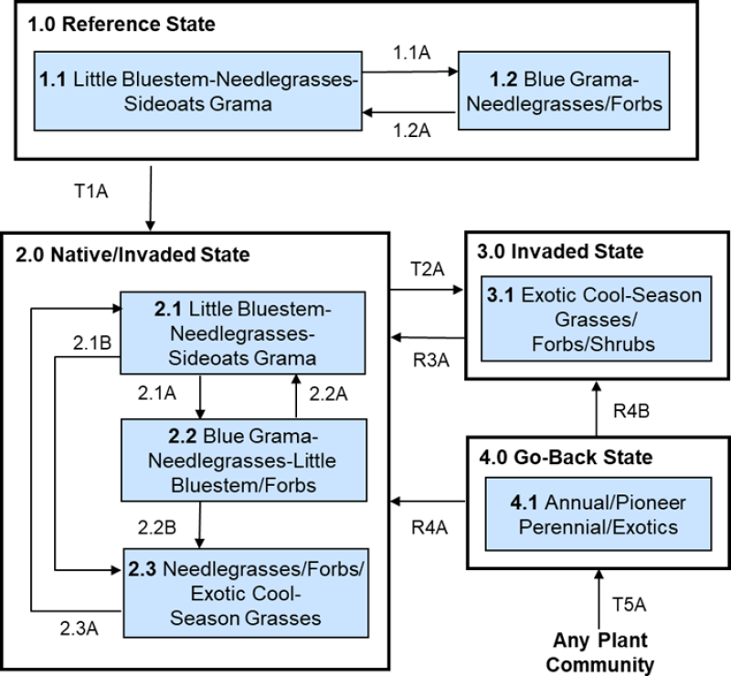 Model diagram