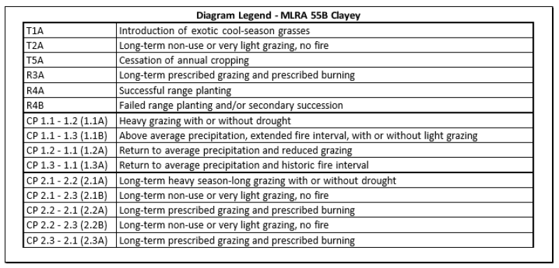 Model diagram