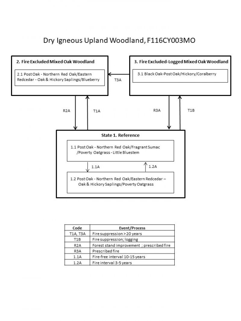 Model diagram