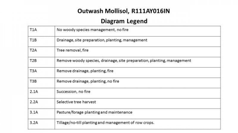 Model diagram