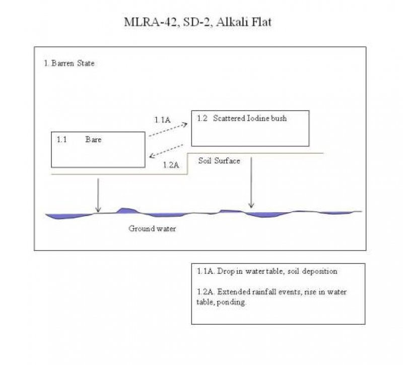 Model diagram