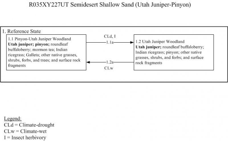 Model diagram