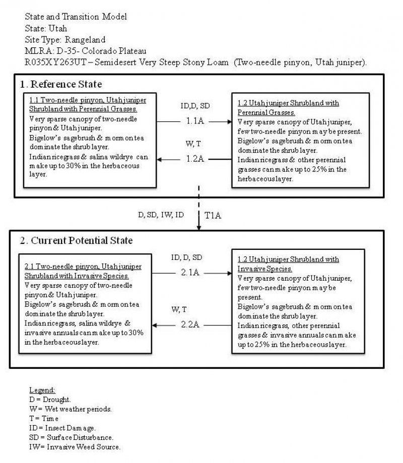Model diagram
