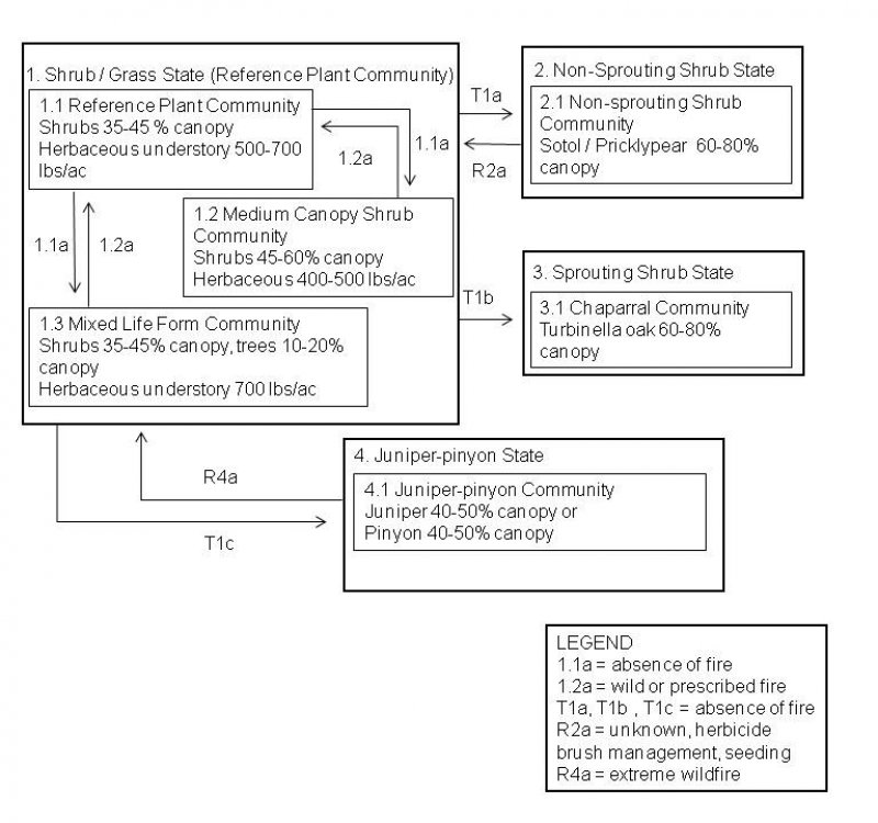 Model diagram