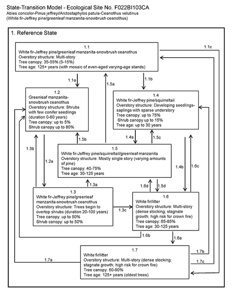 Model diagram