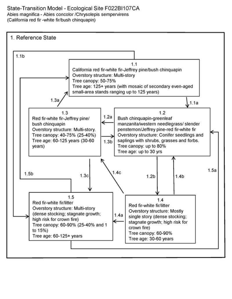 Model diagram