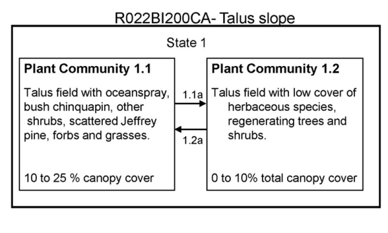 Model diagram