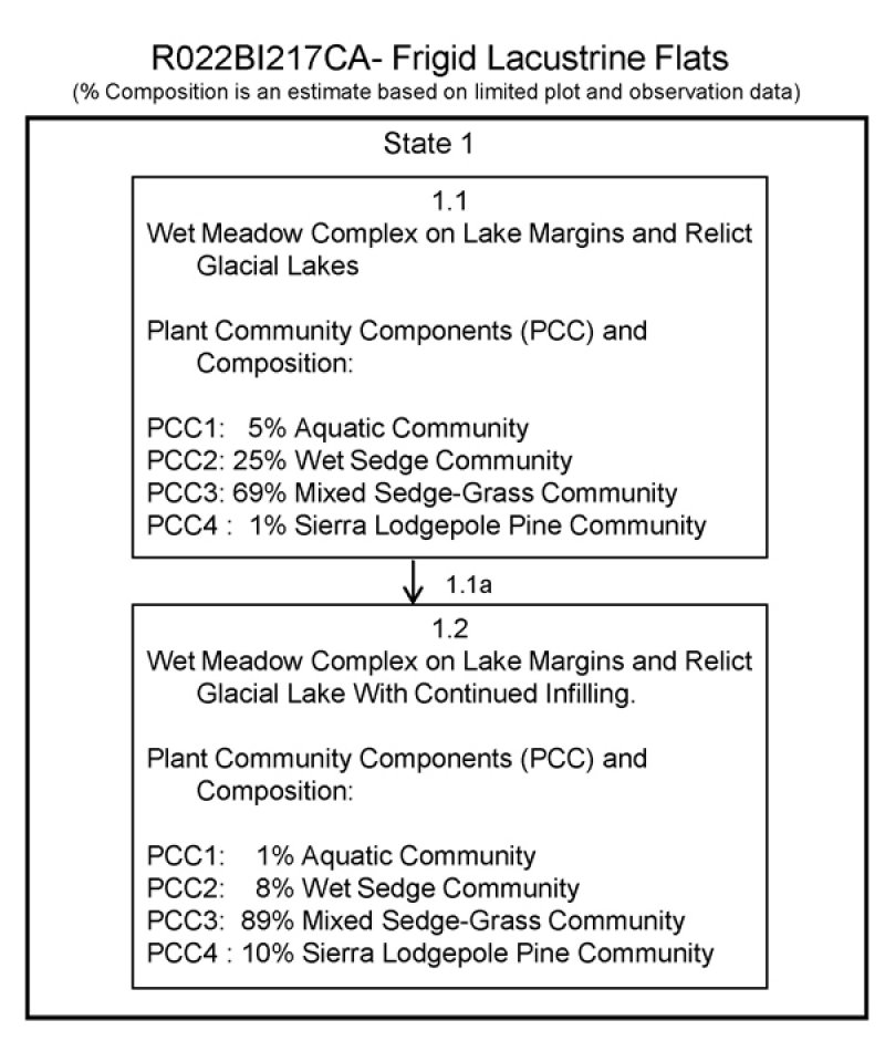Model diagram