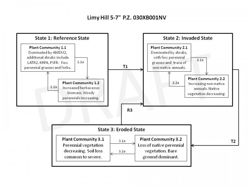 Model diagram