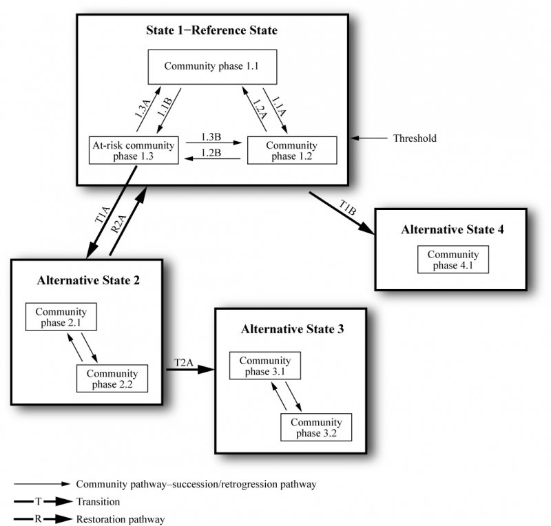 Model diagram