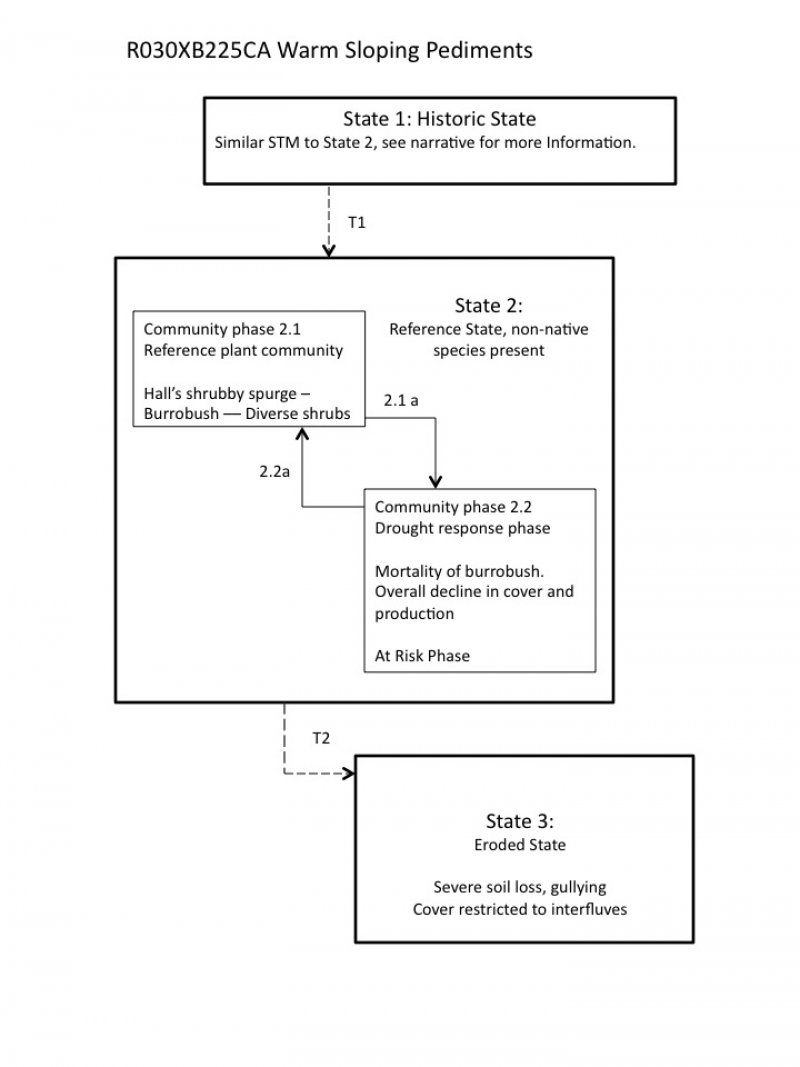 Model diagram