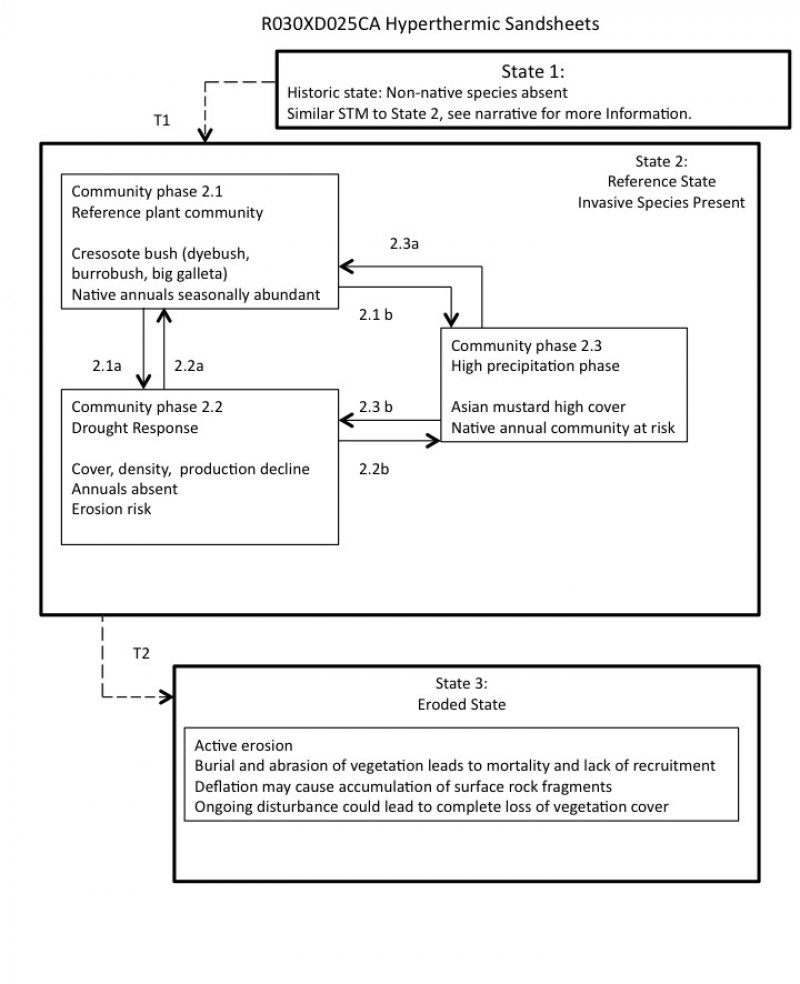 Model diagram