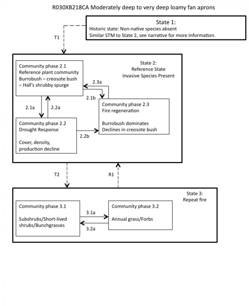 Model diagram