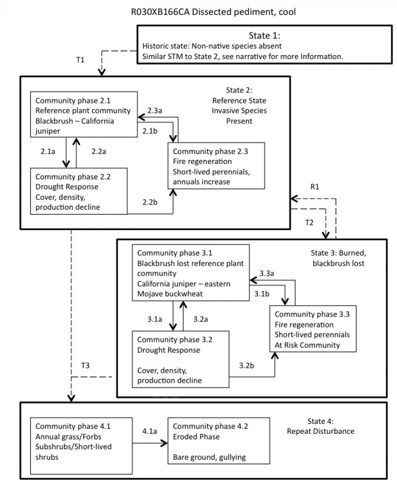 Model diagram