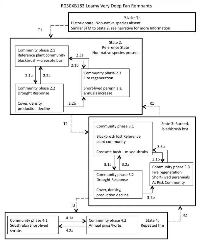 Model diagram