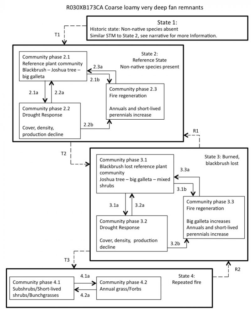 Model diagram