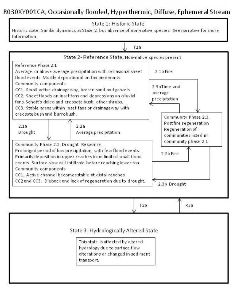 Model diagram