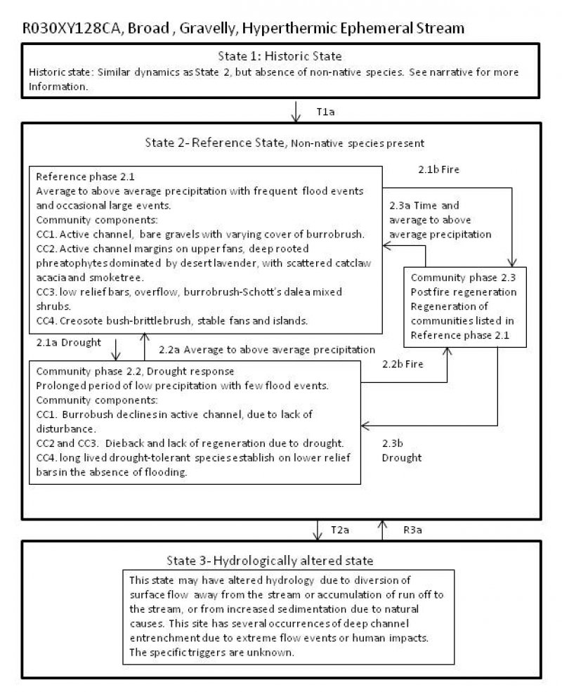 Model diagram