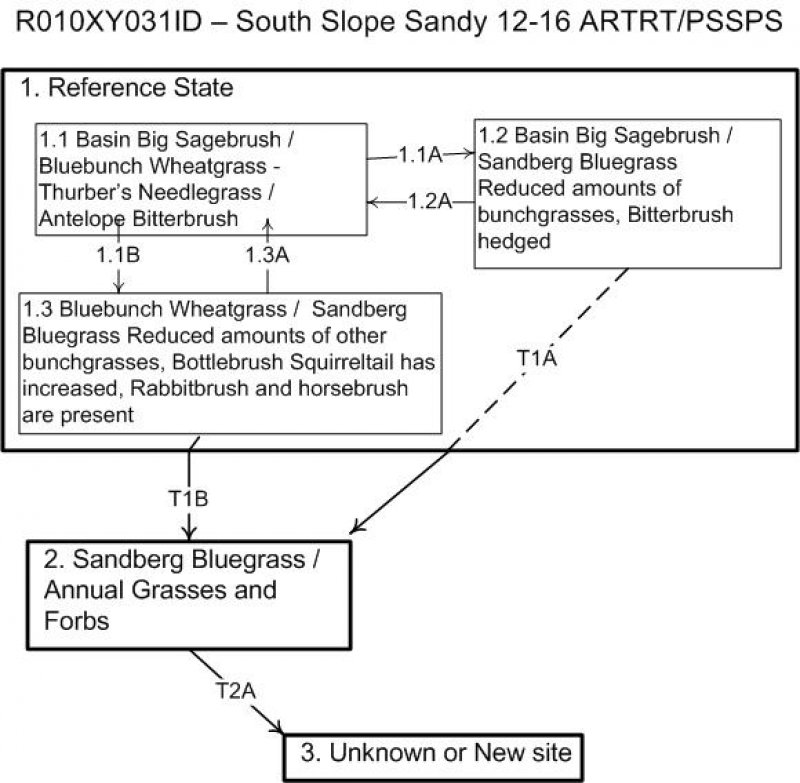 Model diagram