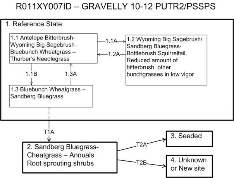 Model diagram