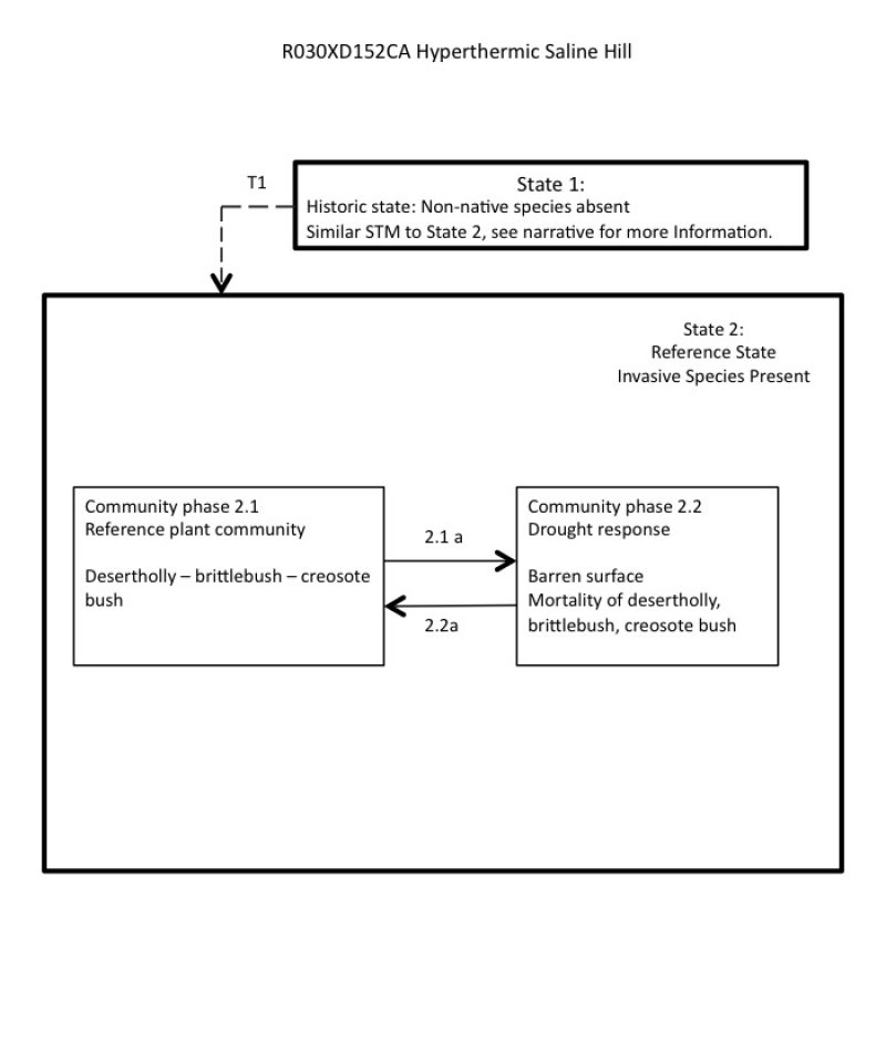 Model diagram