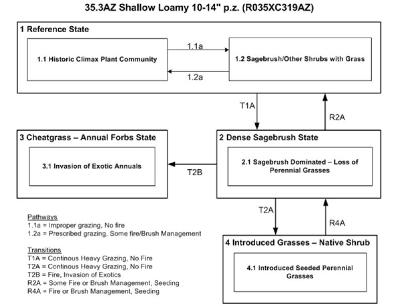 Model diagram