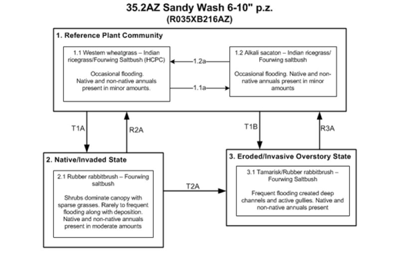 Model diagram