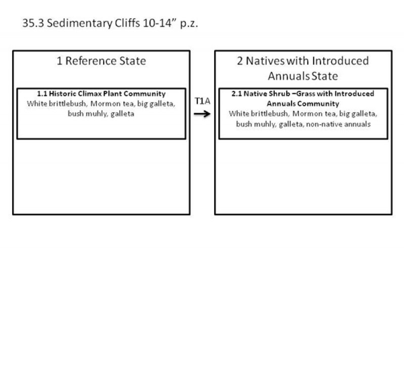 Model diagram