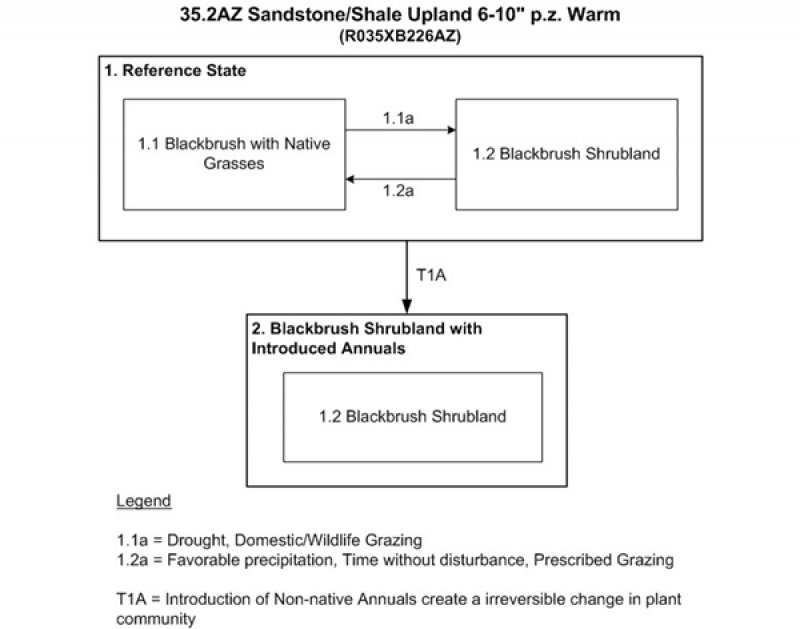 Model diagram