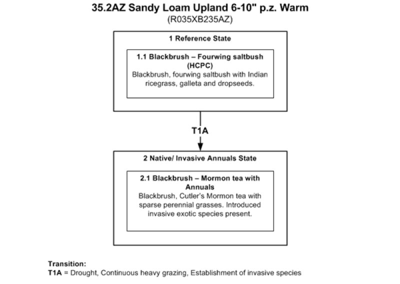 Model diagram