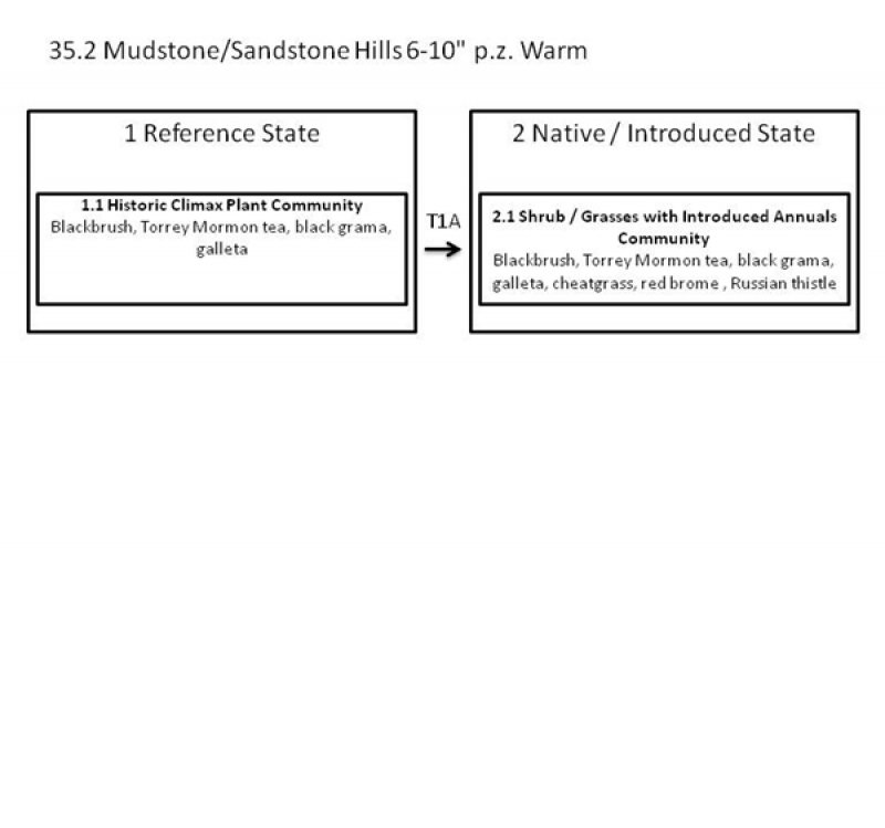 Model diagram