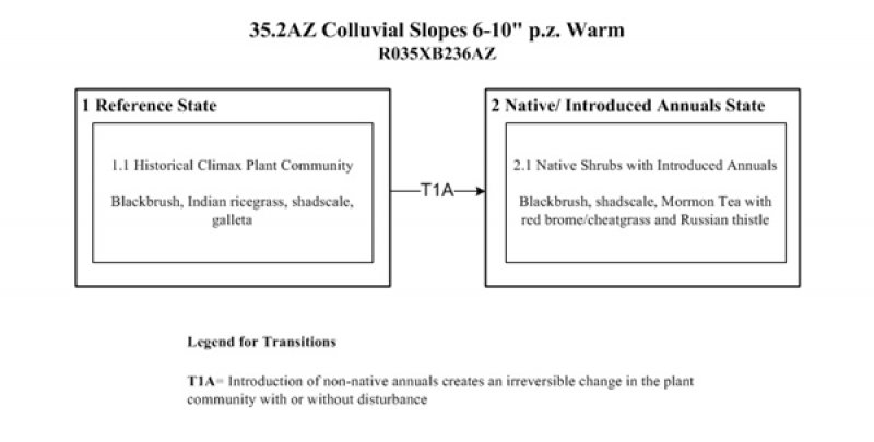 Model diagram