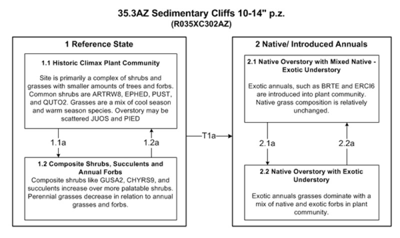 Model diagram