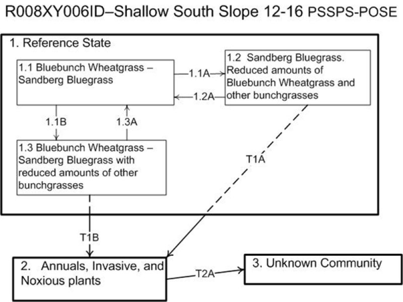 Model diagram