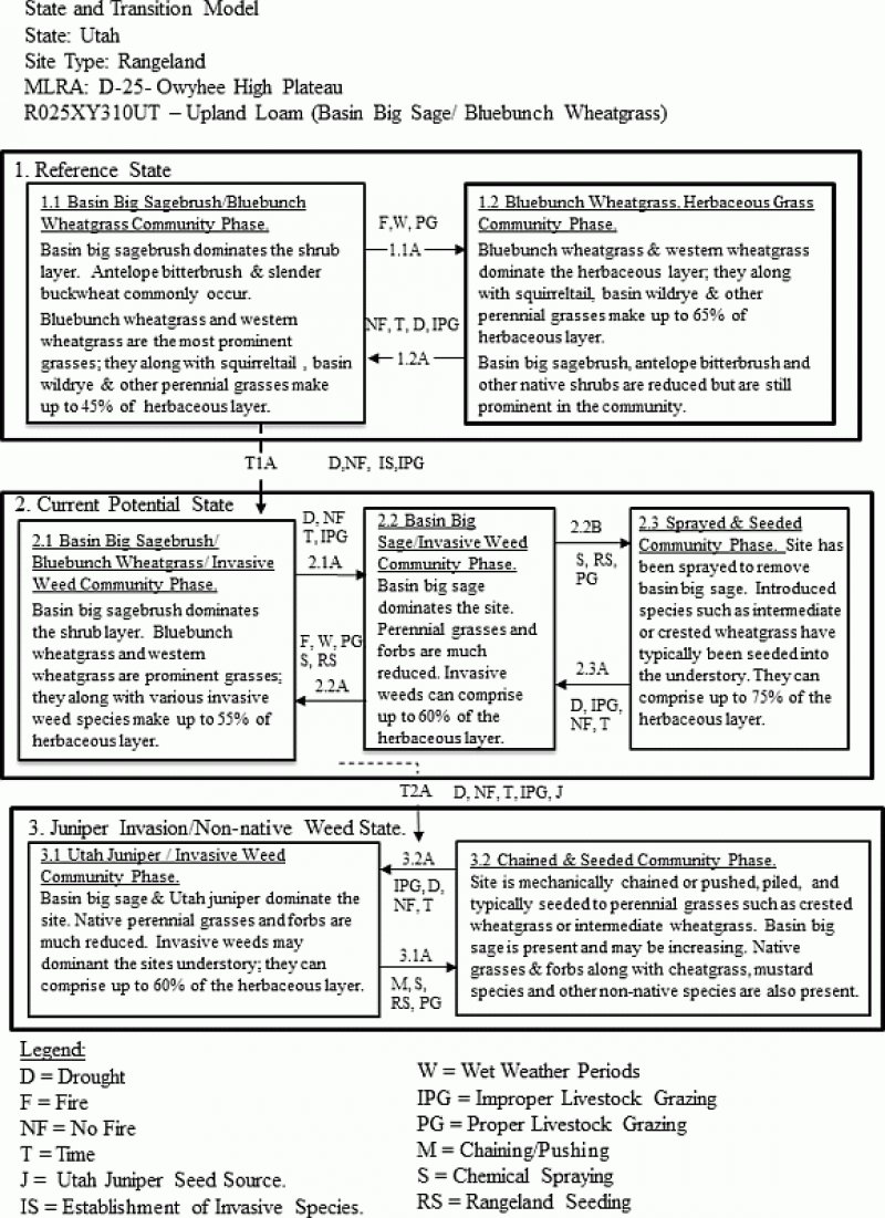 Model diagram