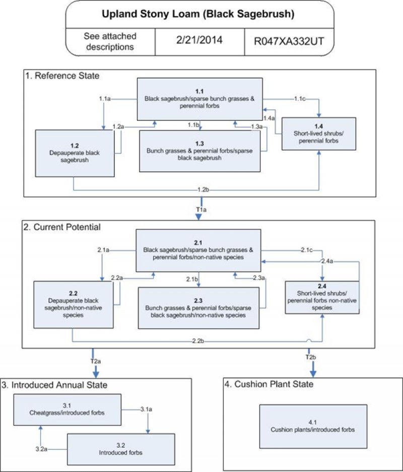 Model diagram
