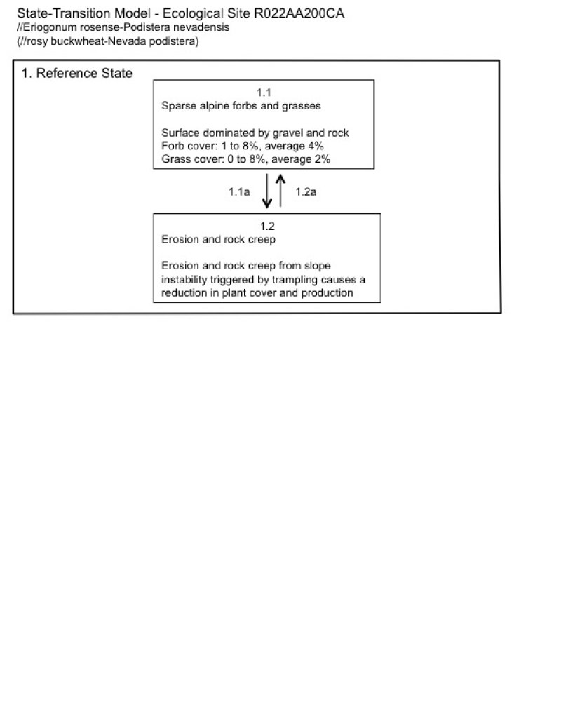 Model diagram