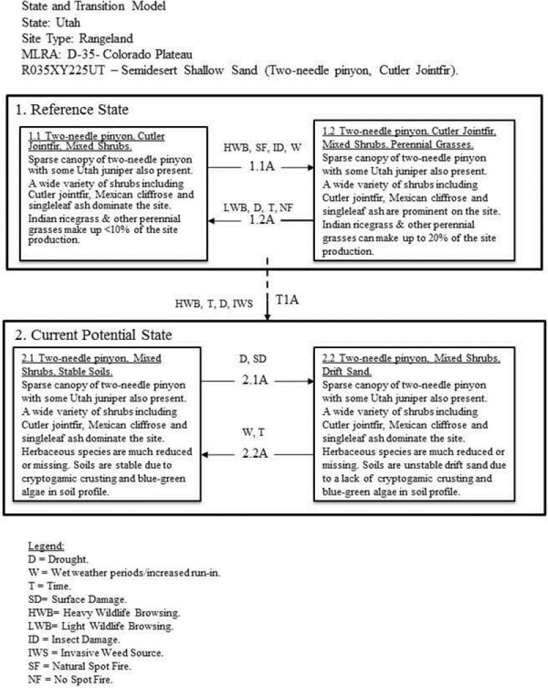 Model diagram