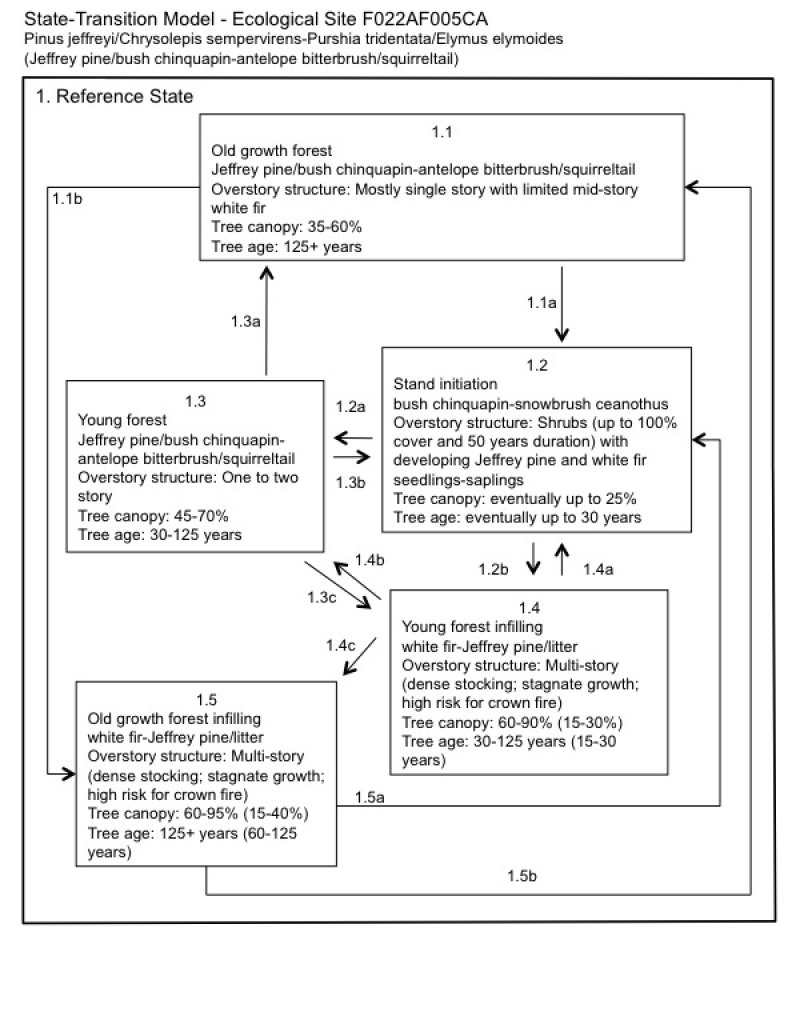 Model diagram
