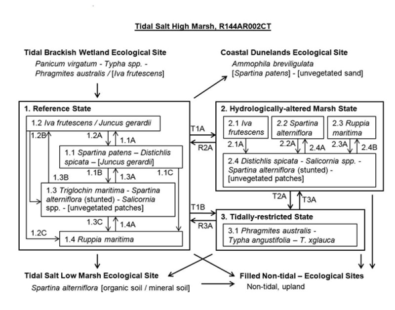 Model diagram