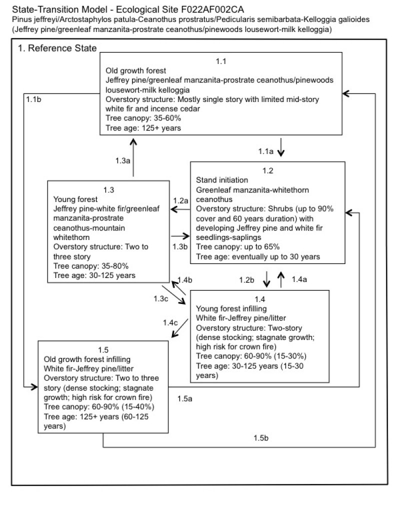 Model diagram