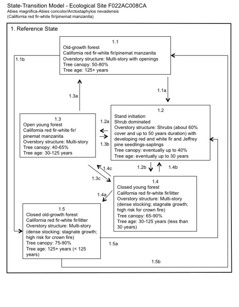 Model diagram