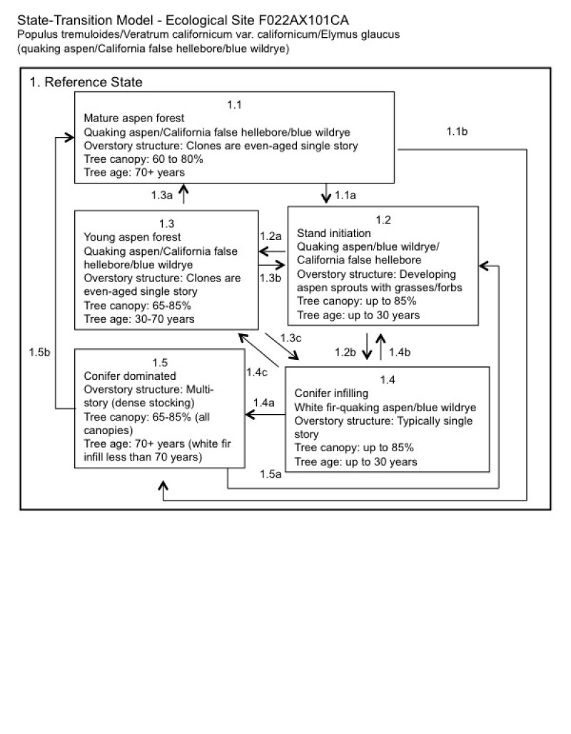 Model diagram
