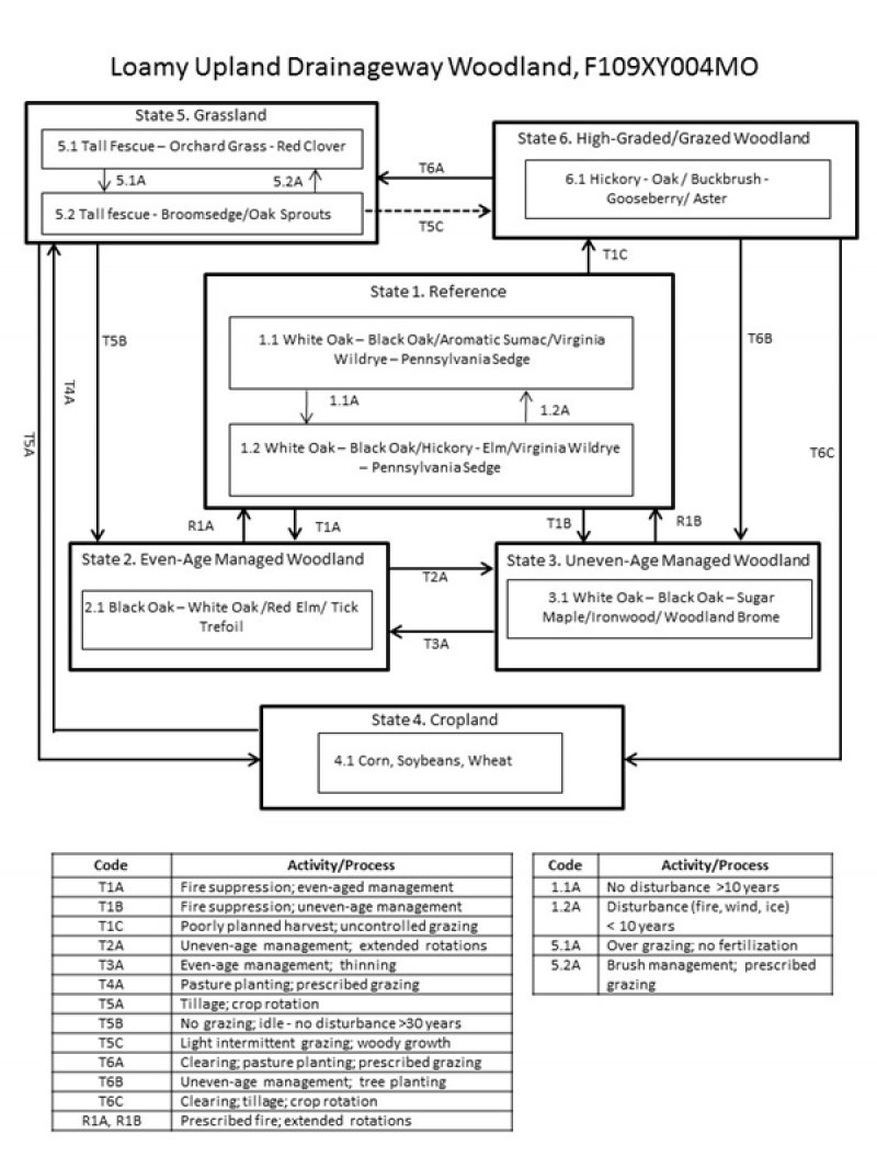 Model diagram